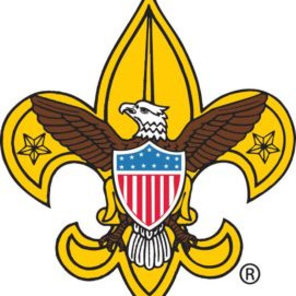 Banner Logo
