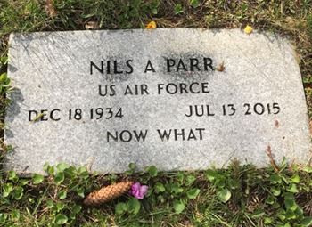 <i class="material-icons" data-template="memories-icon">stars</i><br/>Nils Parr, Air Force<br/><div class='remember-wall-long-description'>This wreath is in memory of my Uncle Nils but also in memory of Virginia Sweetser who he would have been proud to honor. My uncle for years laid Wreaths at the National cemetery. Peace to all this holiday season!</div><a class='btn btn-primary btn-sm mt-2 remember-wall-toggle-long-description' onclick='initRememberWallToggleLongDescriptionBtn(this)'>Learn more</a>