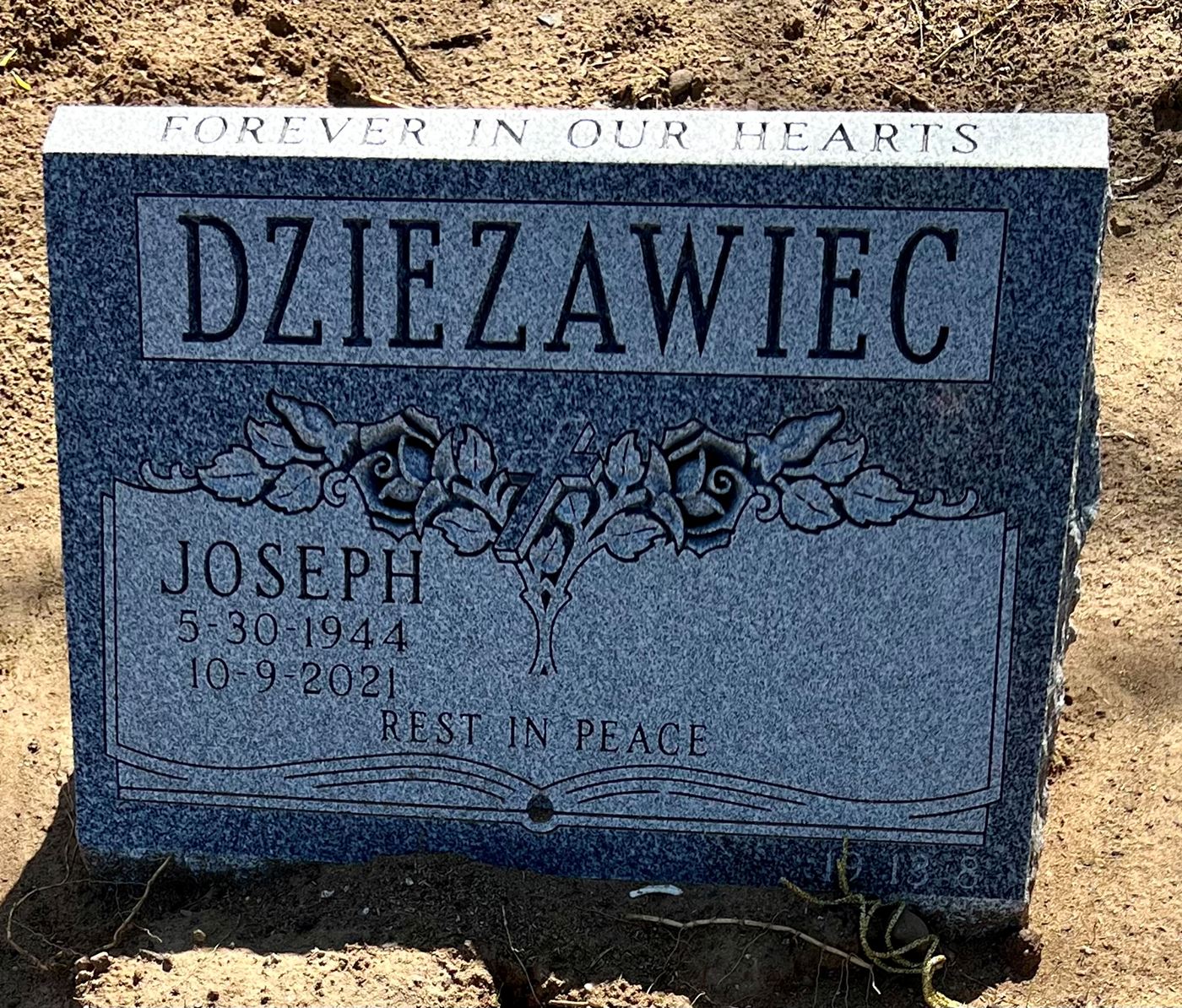 <i class="material-icons" data-template="memories-icon">account_balance</i><br/>Joseph Dziezawiec, Army<br/><div class='remember-wall-long-description'>Devoted husband, father, grandfather, brother, son, uncle, teacher & coach.
We all love you & miss you</div><a class='btn btn-primary btn-sm mt-2 remember-wall-toggle-long-description' onclick='initRememberWallToggleLongDescriptionBtn(this)'>Learn more</a>