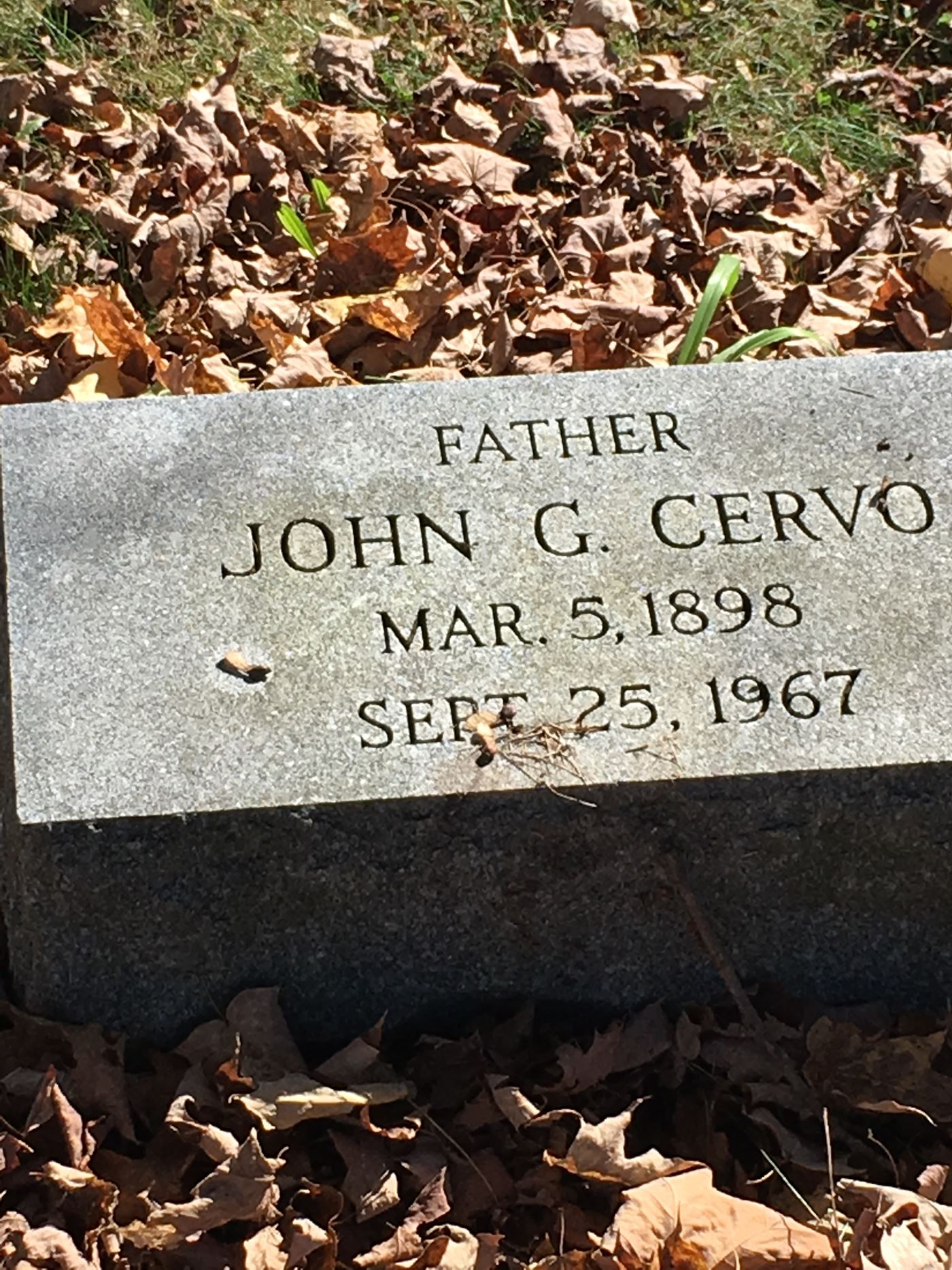 <i class="material-icons" data-template="memories-icon">account_balance</i><br/>John G. Cervo<br/><div class='remember-wall-long-description'>Remembering our Beloved Grandfather John G. Cervo who served in WWI and is buried next to his dear son & WWII Hero, Pvt Joseph Cervo.</div><a class='btn btn-primary btn-sm mt-2 remember-wall-toggle-long-description' onclick='initRememberWallToggleLongDescriptionBtn(this)'>Learn more</a>