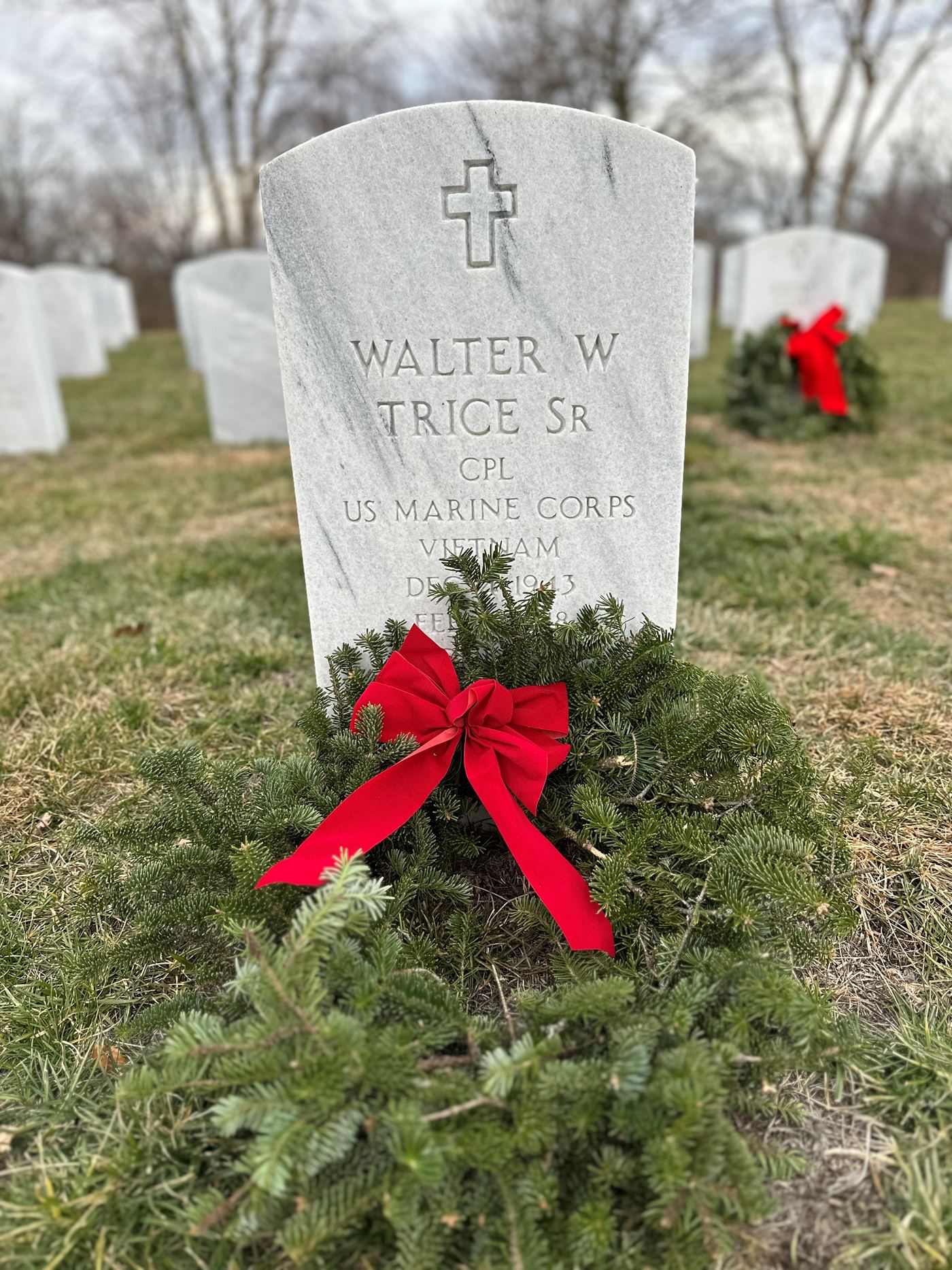 Thank you for your service Walter W. Trice, Sr.