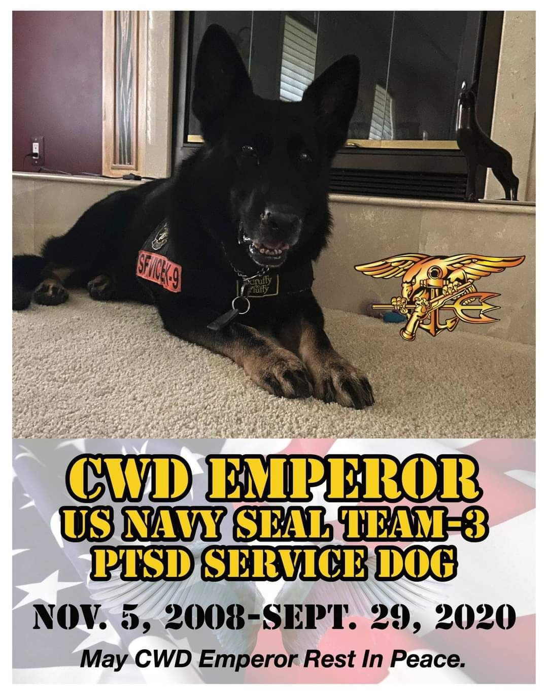 <i class="material-icons" data-template="memories-icon">local_florist</i><br/>CWD Emperor , Navy<br/><div class='remember-wall-long-description'>In memory of CWD Emperor, US Navy Seal Team-3, PTSD Service Dog
Nov. 5, 2008 - Sept. 29, 2020
Thank you for your service and sacrifice Iraq and Afghanistan, and to the veterans you served abroad and at home - you are loved and will never be forgotten.</div><a class='btn btn-primary btn-sm mt-2 remember-wall-toggle-long-description' onclick='initRememberWallToggleLongDescriptionBtn(this)'>Learn more</a>