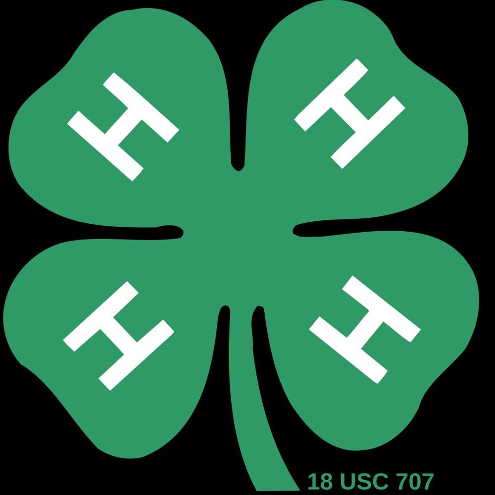 Banner Logo