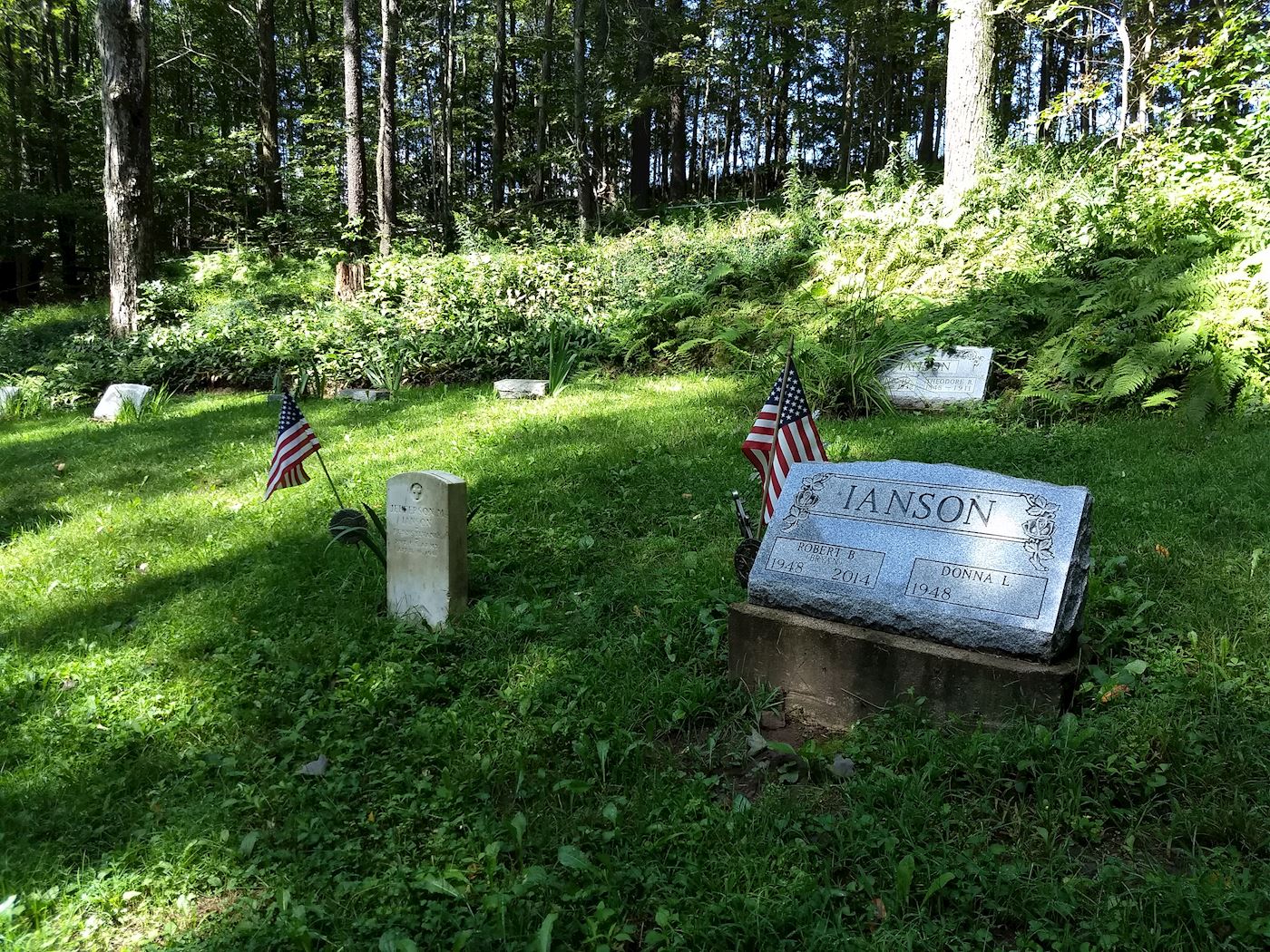 Ianson Cemetery has 6 veteran's graves.