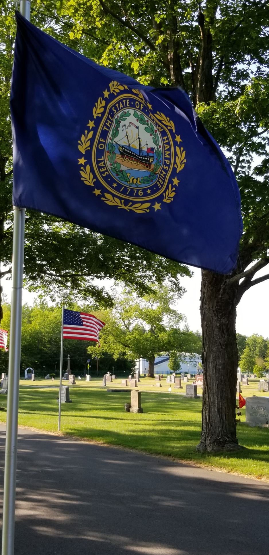 State Seal Flag