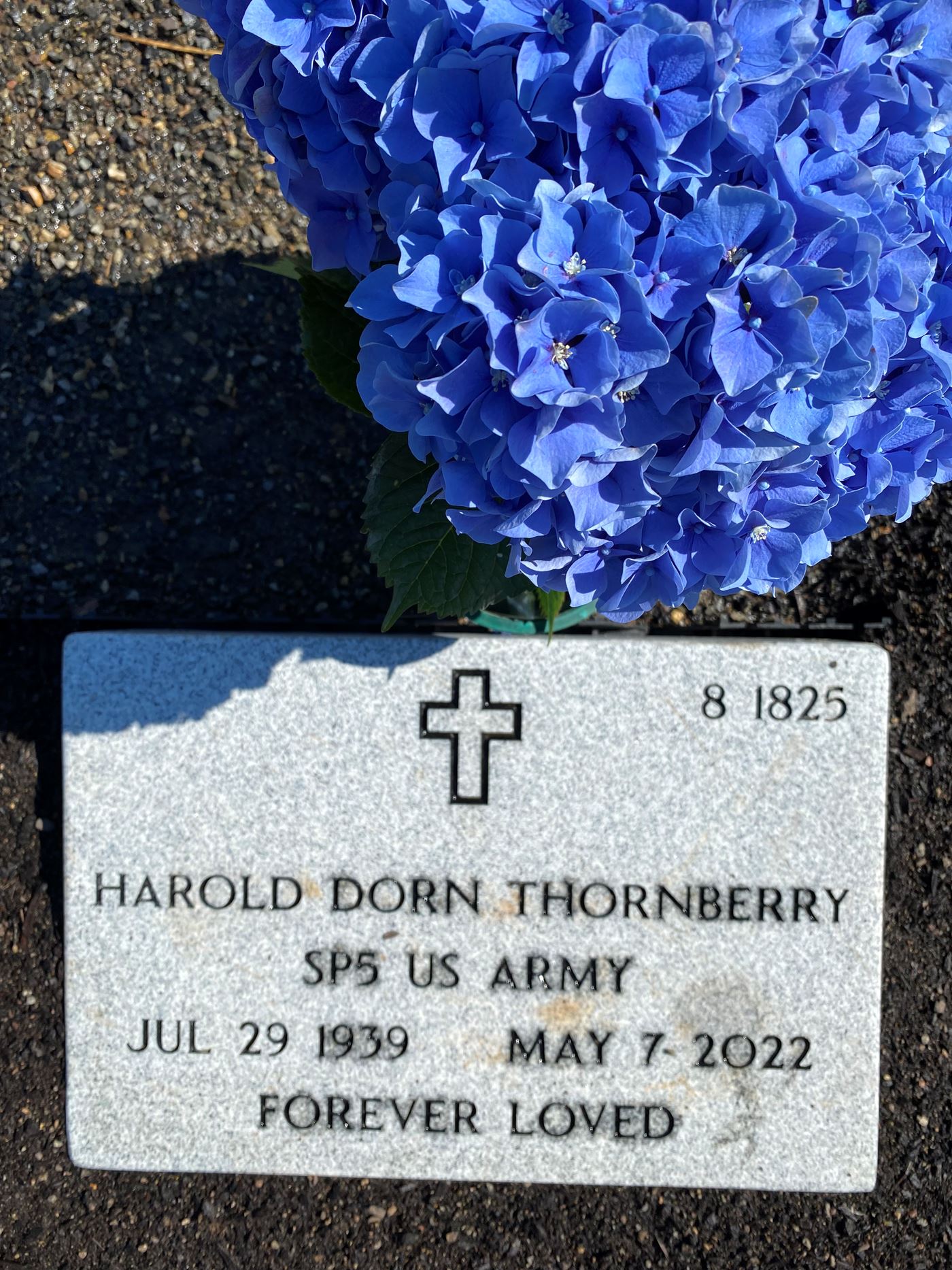 <i class="material-icons" data-template="memories-icon">stars</i><br/>Harold Dorn  Thornberry, Army<br/><div class='remember-wall-long-description'>You are forever honored in my heart.</div><a class='btn btn-primary btn-sm mt-2 remember-wall-toggle-long-description' onclick='initRememberWallToggleLongDescriptionBtn(this)'>Learn more</a>