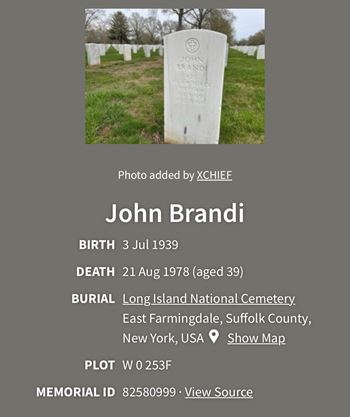 <i class="material-icons" data-template="memories-icon">account_balance</i><br/>John  Brandi , Air Force<br/><div class='remember-wall-long-description'>
  In memory of my father in law, John Brandi.</div><a class='btn btn-primary btn-sm mt-2 remember-wall-toggle-long-description' onclick='initRememberWallToggleLongDescriptionBtn(this)'>Learn more</a>