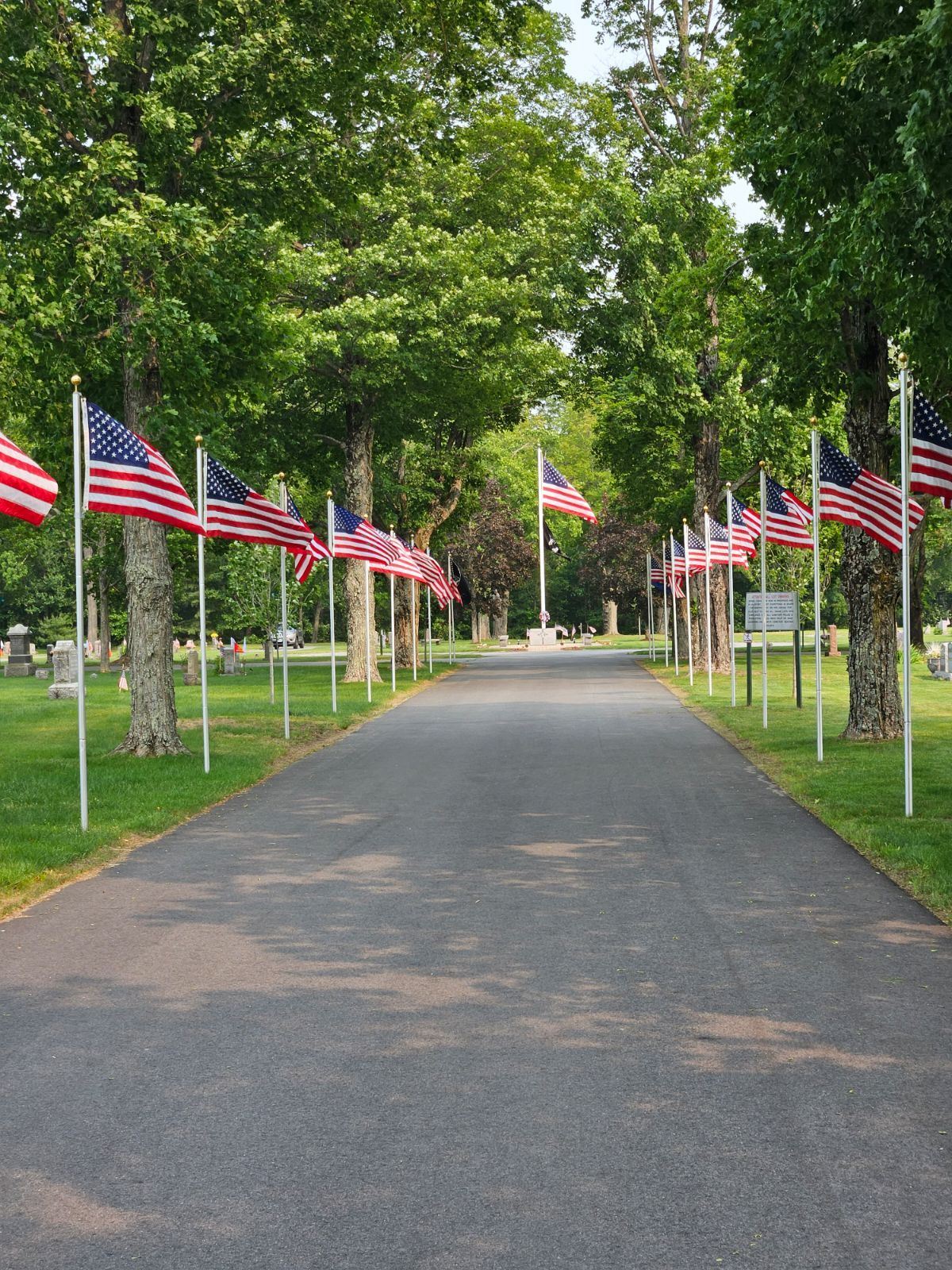 Avenue of Flags