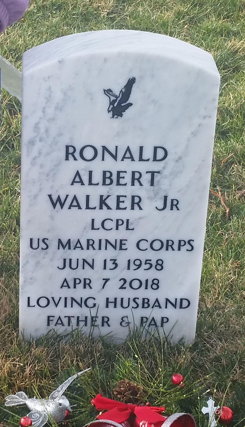 <i class="material-icons" data-template="memories-icon">account_balance</i><br/>Ronald Walker, Marine Corps, LCPL<br/>Born 6/13/1958<br/>Passed on 4/7/2018<br/>Posted by: Kevin Bernoski<br/><div class='remember-wall-long-description'>We still love and miss you Brother.</div><a class='btn btn-primary btn-sm mt-2 remember-wall-toggle-long-description' onclick='initRememberWallToggleLongDescriptionBtn(this)'>Learn more</a>