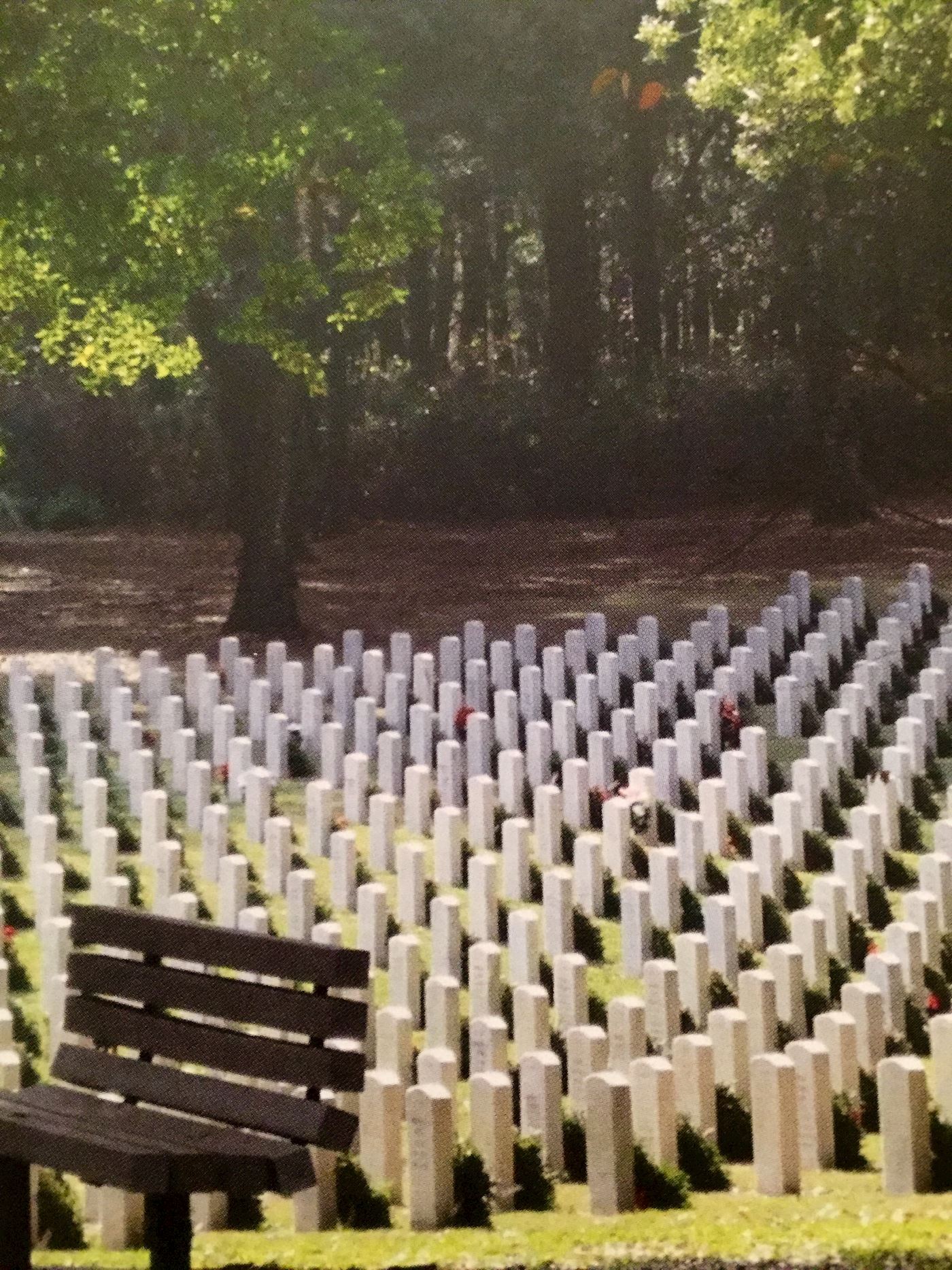 Florida National Cemetery 