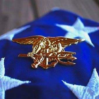 <i class="material-icons" data-template="memories-icon">account_balance</i><br/><br/><div class='remember-wall-long-description'>For the 75 Warrior SEALs and K9s Killed in Action since September 11, 2001, we honor your service and sacrafice. And, this Christmas, we Pray for your souls and will Never Forget you!

With Love and Respect,
Texas Team Foundation 
www.texasteamfoundation.com
Houston, Texas</div><a class='btn btn-primary btn-sm mt-2 remember-wall-toggle-long-description' onclick='initRememberWallToggleLongDescriptionBtn(this)'>Learn more</a>
