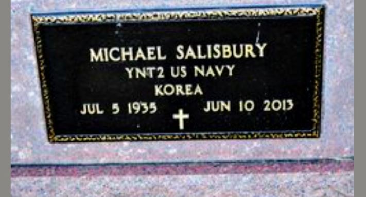 <i class="material-icons" data-template="memories-icon">cloud</i><br/>Michael  Salisbury , Navy<br/><div class='remember-wall-long-description'>Michael Salisbury
07/05/35-07/10/13
United States Navy
Korea</div><a class='btn btn-primary btn-sm mt-2 remember-wall-toggle-long-description' onclick='initRememberWallToggleLongDescriptionBtn(this)'>Learn more</a>