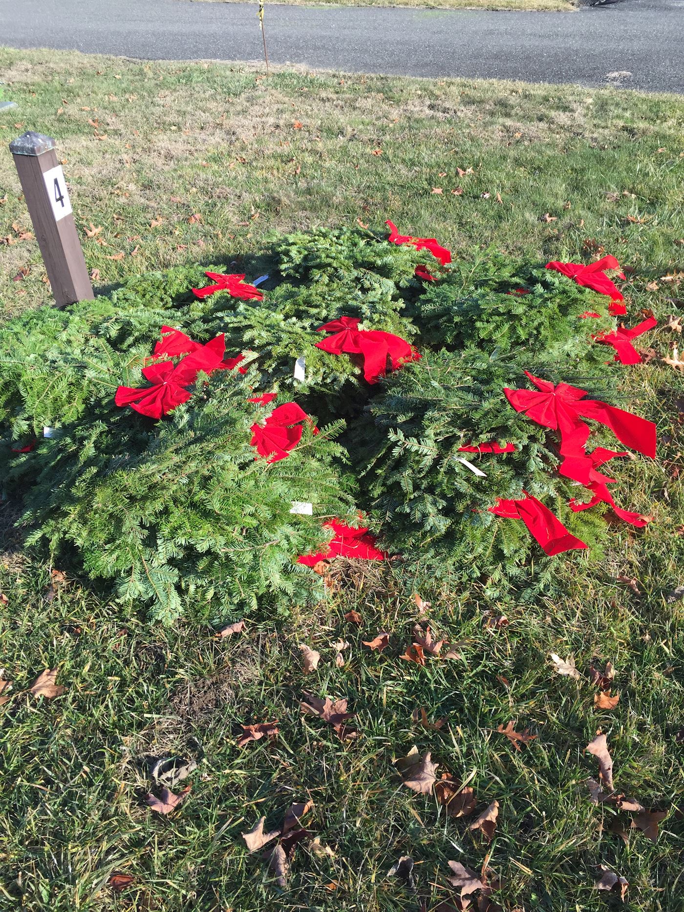 Lots of wreaths