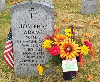 <i class="material-icons" data-template="memories-icon">message</i><br/>Joseph C.  Adams, Marine Corps<br/><div class='remember-wall-long-description'>We miss you Mother and Dad!!  Love you always!! Deborah</div><a class='btn btn-primary btn-sm mt-2 remember-wall-toggle-long-description' onclick='initRememberWallToggleLongDescriptionBtn(this)'>Learn more</a>