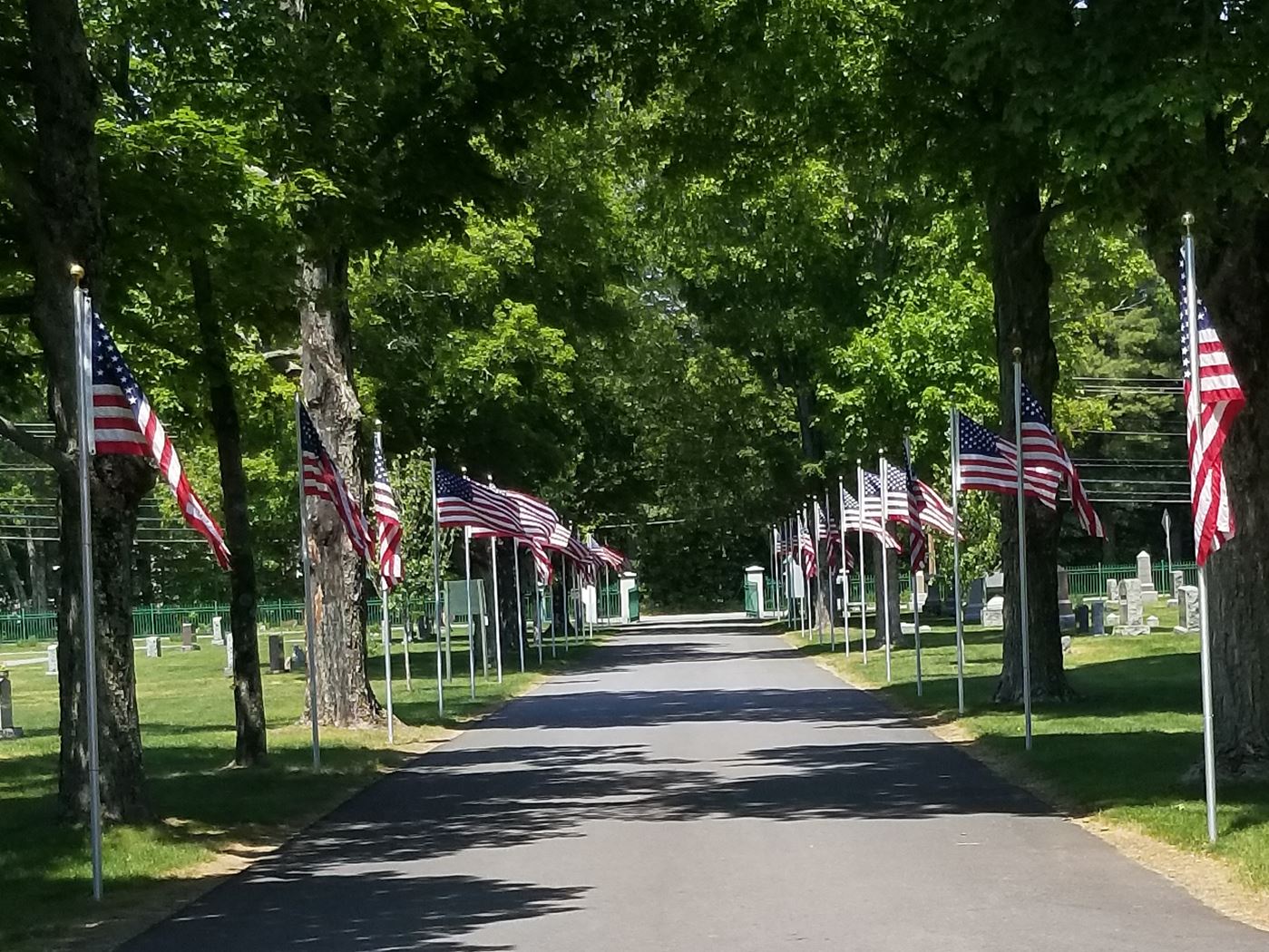 Gibson Cemetery's Avenue of Flags