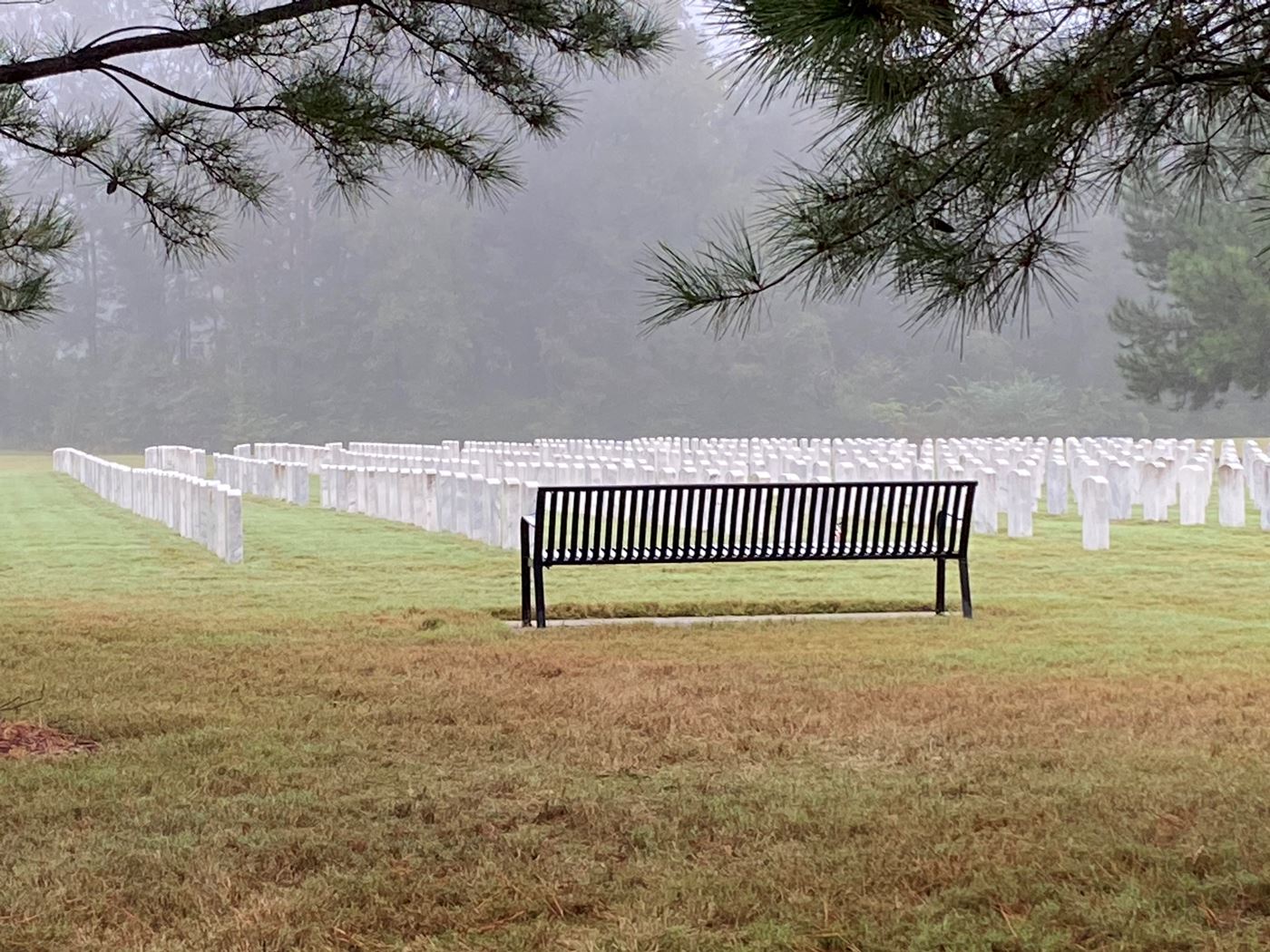 Alabama National Cemetery #4