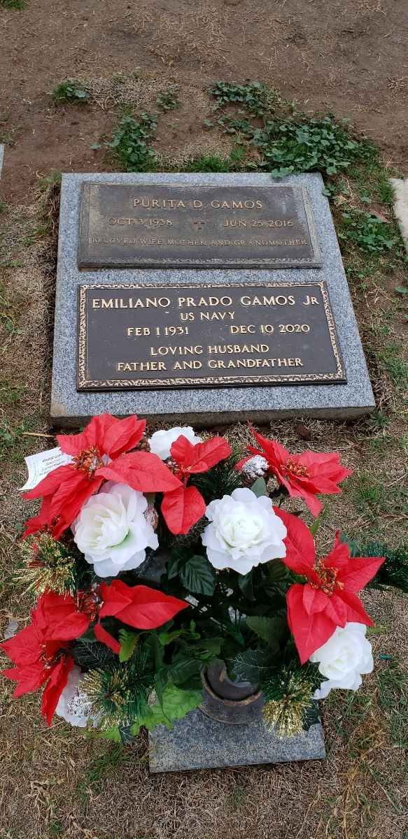 <i class="material-icons" data-template="memories-icon">card_giftcard</i><br/>Emiliano Prado Gamos Jr., Navy<br/>Born 2/1/1931<br/>Passed on 12/10/2020<br/>Posted by: Robert A.<br/><div class='remember-wall-long-description'>
  A tribute to a fellow veteran and wonderful father-in-law.</div><a class='btn btn-primary btn-sm mt-2 remember-wall-toggle-long-description' onclick='initRememberWallToggleLongDescriptionBtn(this)'>Learn more</a>