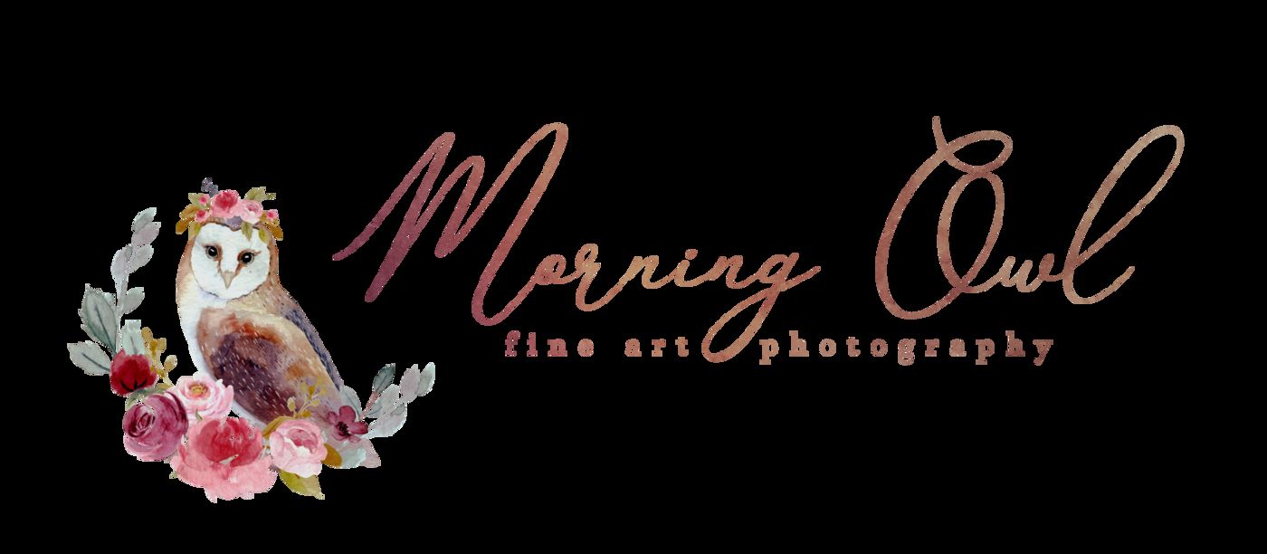 Banner Logo