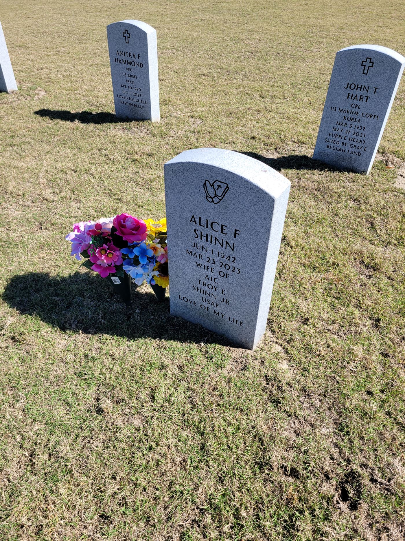 <i class="material-icons" data-template="memories-icon">message</i><br/>Alice  Shinn <br/>Born 6/1/1942<br/>Passed on 3/23/2023<br/>Posted by: KELLY I.<br/><div class='remember-wall-long-description'>We love you Mom, always in our hearts.  Love n Hugs</div><a class='btn btn-primary btn-sm mt-2 remember-wall-toggle-long-description' onclick='initRememberWallToggleLongDescriptionBtn(this)'>Learn more</a>