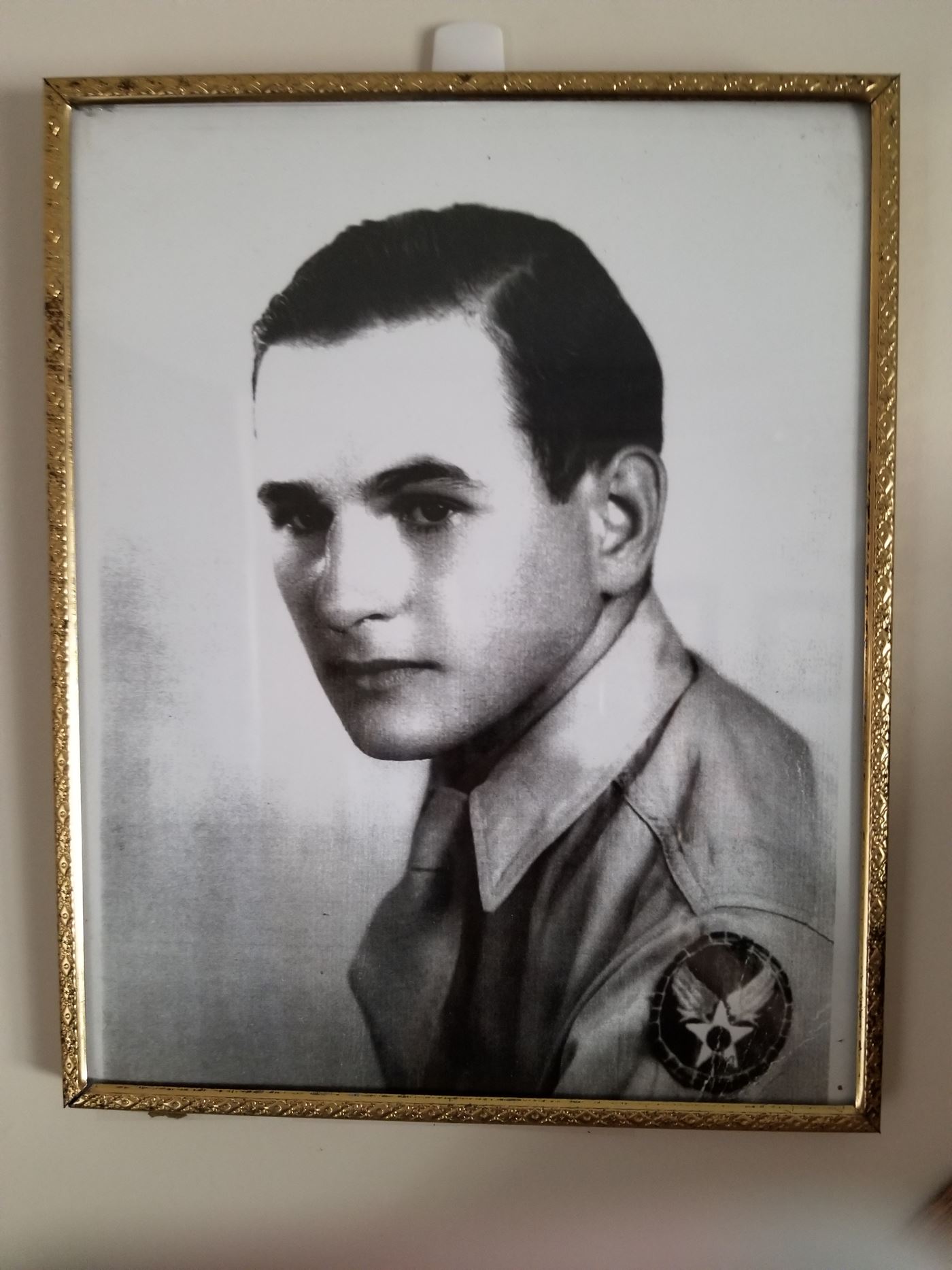 <i class="material-icons" data-template="memories-icon">stars</i><br/>Louis Joseph DiRenzo, Army<br/>Posted by: Pam DiRenzo<br/><div class='remember-wall-long-description'>
All who have served and are currently serving.</div><a class='btn btn-primary btn-sm mt-2 remember-wall-toggle-long-description' onclick='initRememberWallToggleLongDescriptionBtn(this)'>Learn more</a>