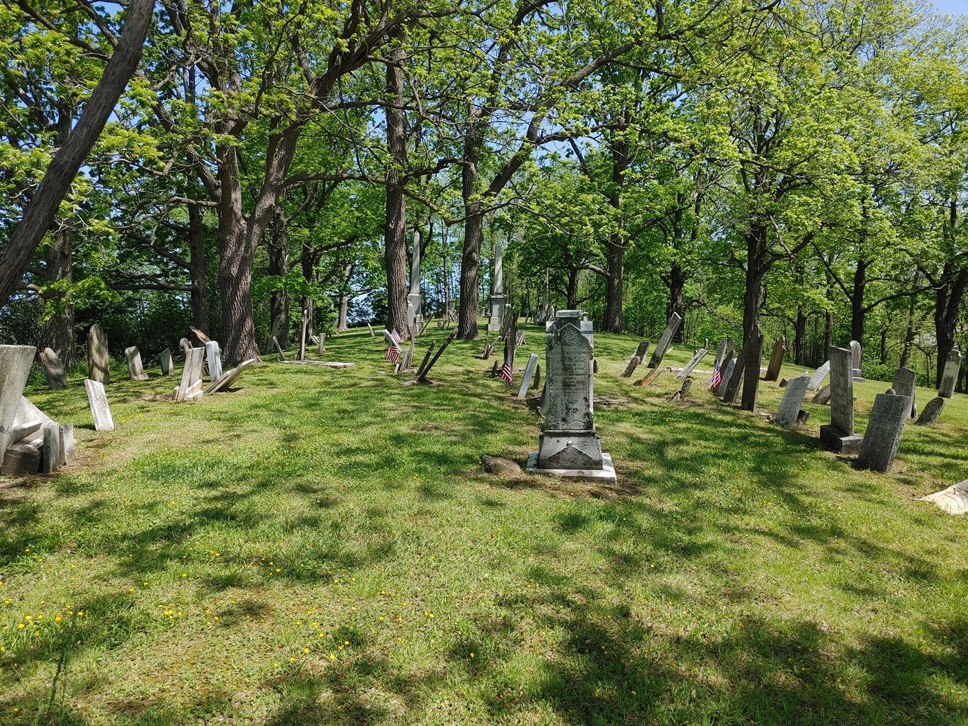 Vincent Hill Cemetery, Bristol NY Spring 2023