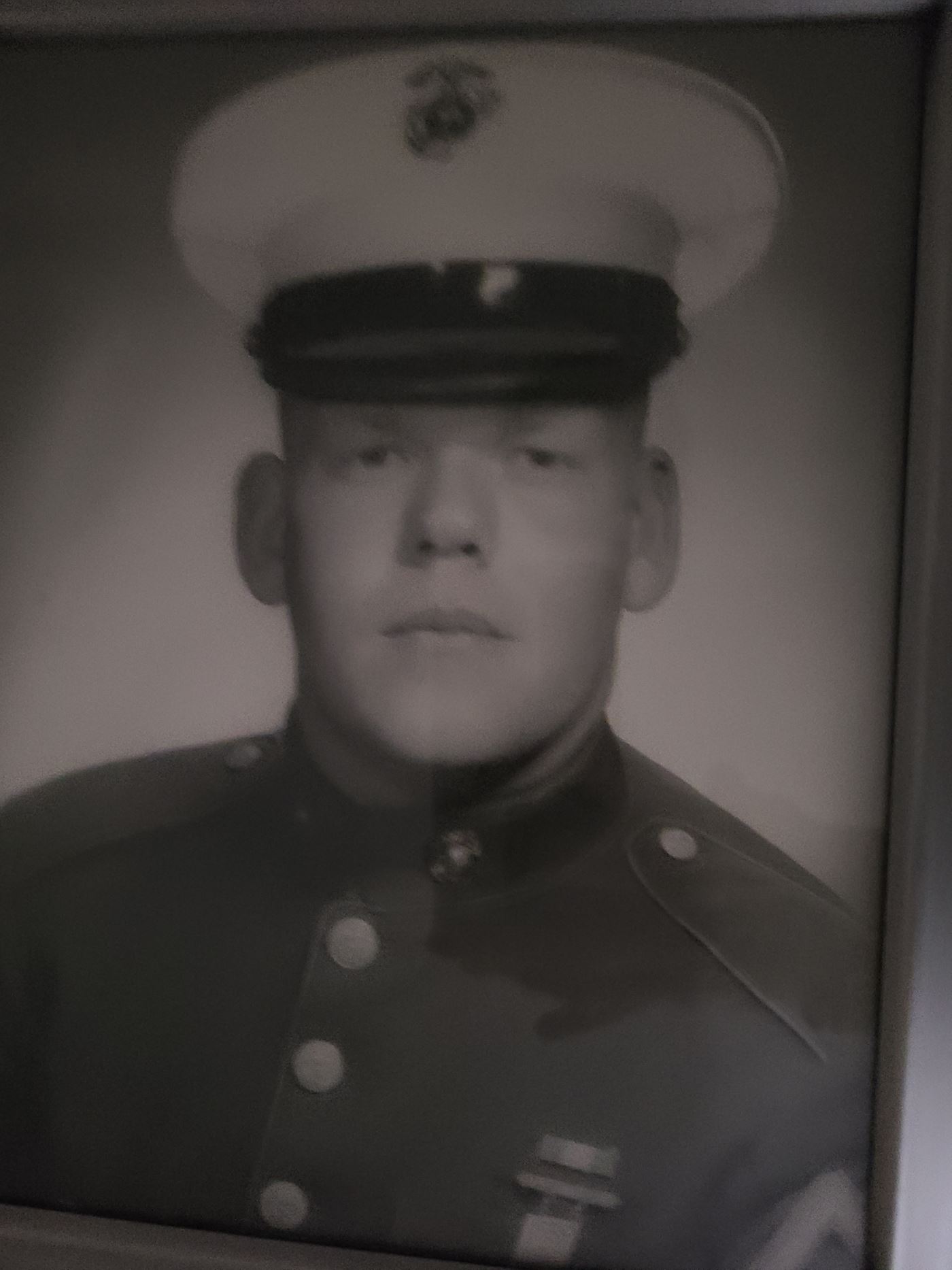 <i class="material-icons" data-template="memories-icon">cloud</i><br/>Gary Pritchard , Marine Corps<br/>Posted by: Jessica Williamson<br/><div class='remember-wall-long-description'>In memory of my husband who we lost this year. He was a Vietnam Veteran,a Marine and an avid lover of preserving history. Rest in Peace.</div><a class='btn btn-primary btn-sm mt-2 remember-wall-toggle-long-description' onclick='initRememberWallToggleLongDescriptionBtn(this)'>Learn more</a>