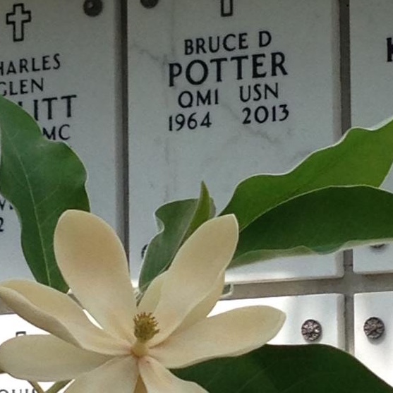 <i class="material-icons" data-template="memories-icon">chat_bubble</i><br/>Bruce D Potter, Navy, QM1<br/>Posted by: His family<br/><div class='remember-wall-long-description'>Merry ChristmasWe love and miss you!</div><a class='btn btn-primary btn-sm mt-2 remember-wall-toggle-long-description' onclick='initRememberWallToggleLongDescriptionBtn(this)'>Learn more</a>