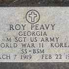 <i class="material-icons" data-template="memories-icon">chat_bubble</i><br/>Roy Peavy<br/><div class='remember-wall-long-description'>Roy Peavy - Master Sergeant - United States Army - World War II, Korea - Silver Star and Bronze Medal Recipient - 
 March 7, 1919 - February 24, 1964 - Pleasant Grove Baptist Church, Kaolin, Washington County, GA</div><a class='btn btn-primary btn-sm mt-2 remember-wall-toggle-long-description' onclick='initRememberWallToggleLongDescriptionBtn(this)'>Learn more</a>