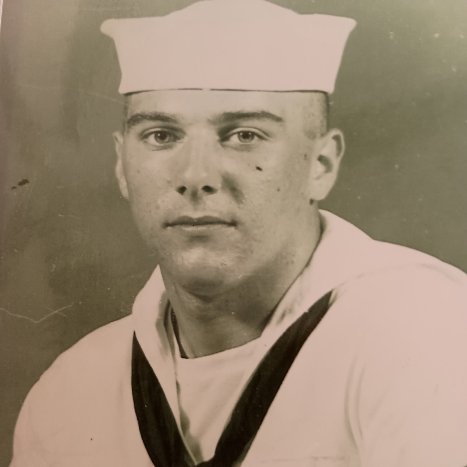 <i class="material-icons" data-template="memories-icon">chat_bubble</i><br/>Michael Romano, Navy, Seaman 3rd Class<br/>Posted by: Cousin Elaine M DiScenza<br/><div class='remember-wall-long-description'>Always in our hearts</div><a class='btn btn-primary btn-sm mt-2 remember-wall-toggle-long-description' onclick='initRememberWallToggleLongDescriptionBtn(this)'>Learn more</a>
